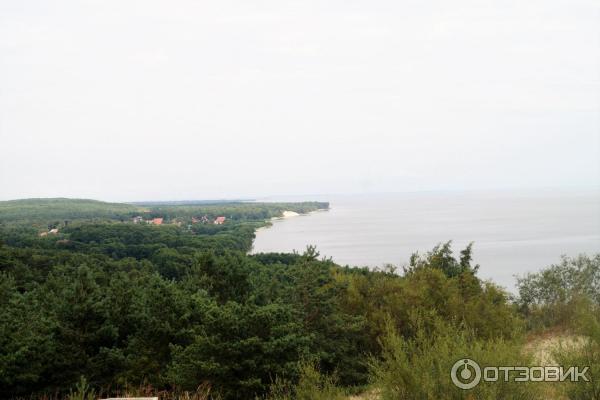 Отдых на Куршской косе (Россия, Калининградская область) фото