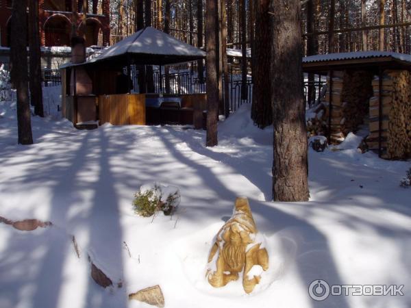 База отдыха Дом Охотника фото