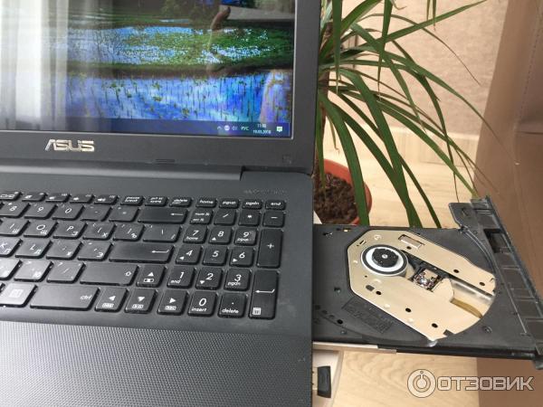 Ноутбук Asus X554L фото