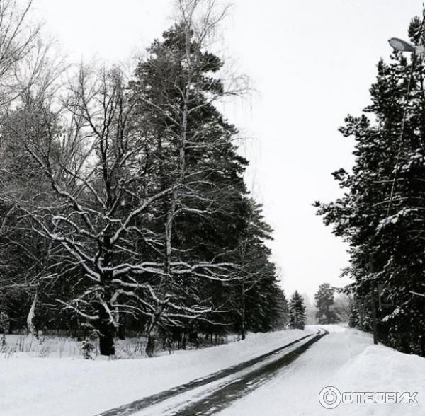 Отель Усадьба Еловое (Россия, Башкортостан) фото