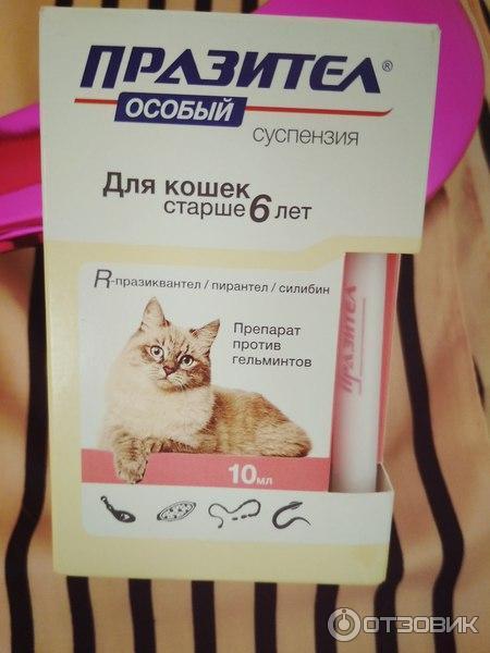 Празител суспензия для кошек и котят отзывы