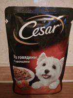 Корм для собак Cesar фото