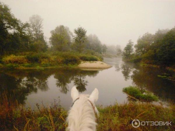 Выставка фотографий Игоря Шпиленка Сто заповедных лет (Россия, Москва)