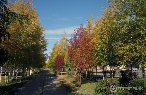 Картинки Города Стрежевого