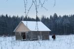 Парк семейного отдыха и экотуризма Зубровник (Россия, Токсово) фото