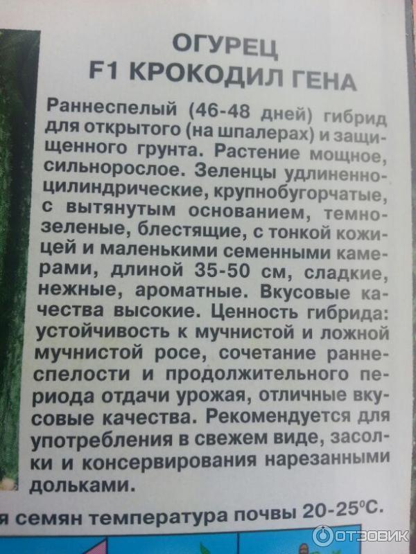 Огурцы Крокодил Гена Фото