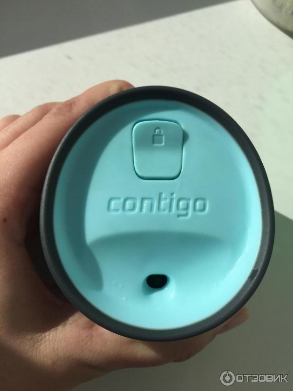 Contigo pinnacle