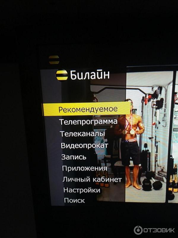 Домашний интернет и телевидение Билайн (Россия) фото