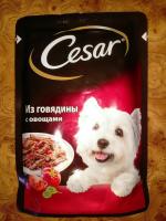 Корм для собак Cesar фото