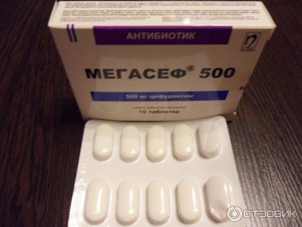 Мегасеф 500 Купить В Минске Цена