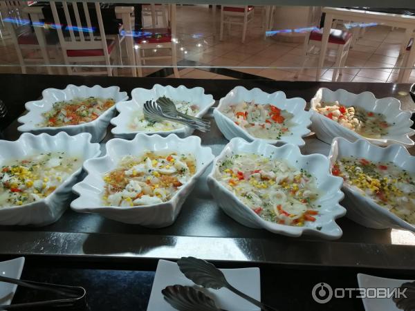 отзыв отель brisas del caribe фото