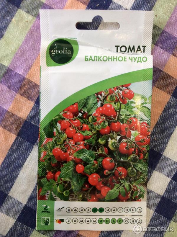 Купить Томат Балконное Чудо Фирмы Партнер
