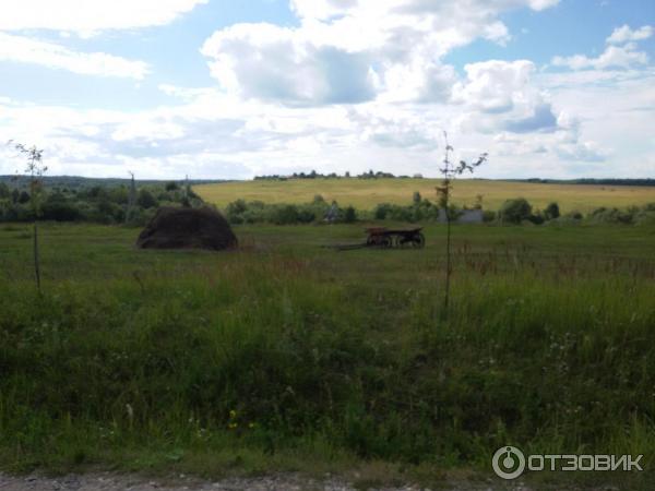 Парк отдыха Веслево (Россия, Ярославская область) фото