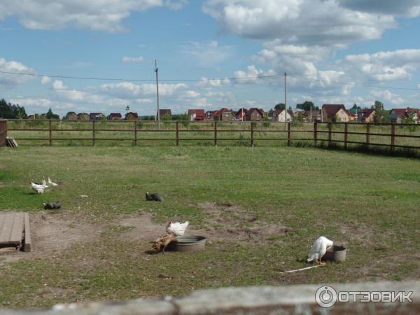 Парк отдыха Веслево (Россия, Ярославская область) фото