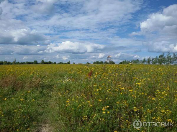 Парк отдыха Веслево (Россия, Ярославская область) фото