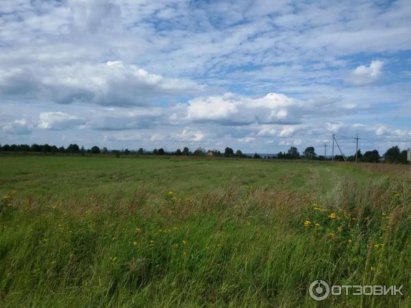 Парк отдыха Веслево (Россия, Ярославская область) фото