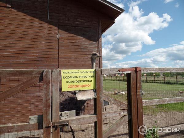 Парк отдыха Веслево (Россия, Ярославская область) фото