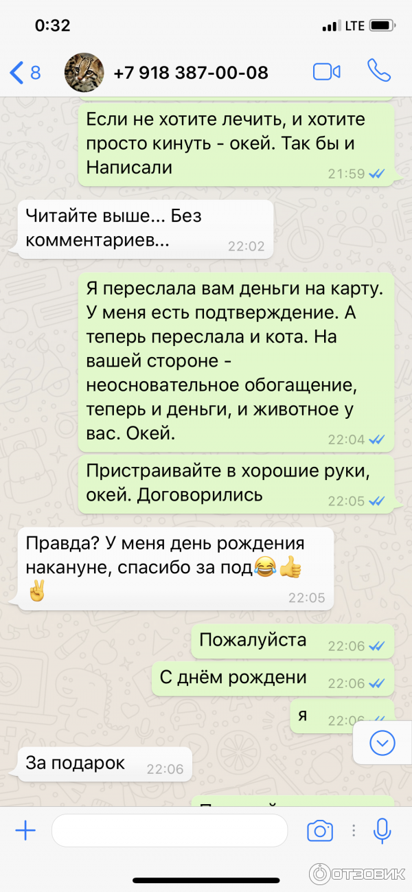 Питомник бенгальских кошек Clan Carleone фото