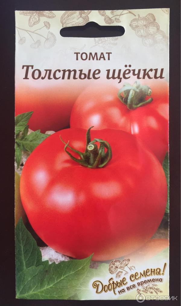 Помидоры толстой отзывы фото. Томат толстой семена. Помидоры толстушка.