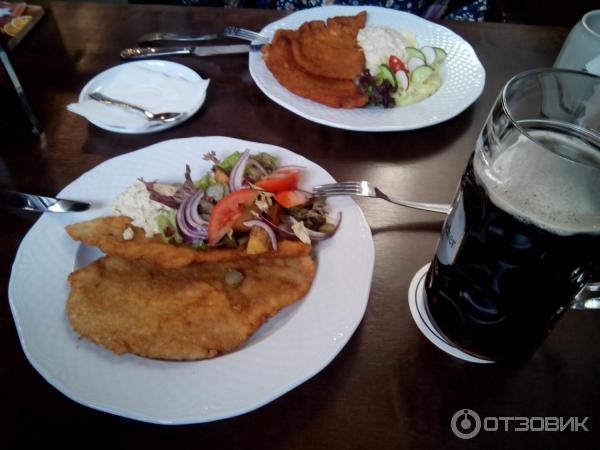 Schnitzel просп победы 44 фото