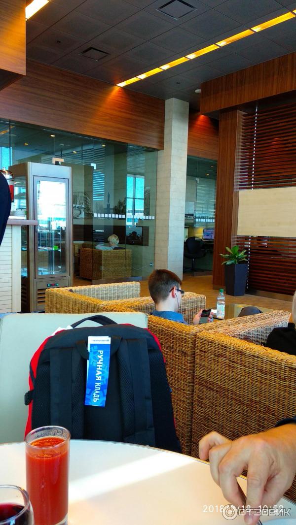 Airport Business Lounge в Домодедово