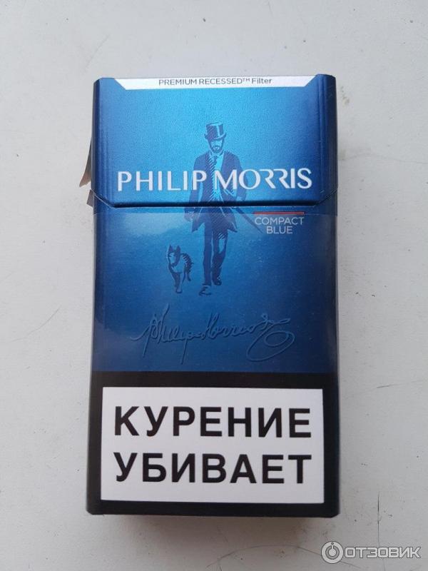 Сигареты philip morris compact. Philip Morris компакт Блю. Philip Morris Compact Blue. Сигариллы Филлип Моррис.