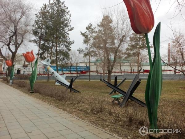 Сад фрунзе оренбург фото