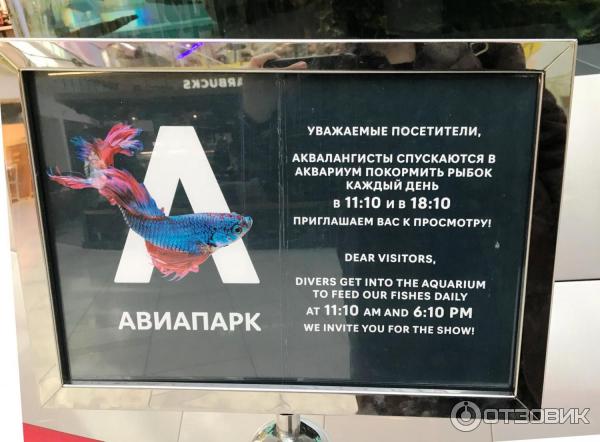 AVIAPARK Foodcourt - YouTube