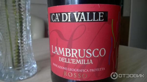 Игристые Вина Lambrusco Dell Emilia Купить