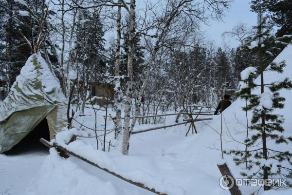 Этно-путешествие В гостях у саамов (Россия, Лопарская) фото