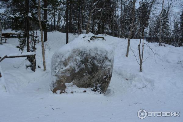 Этно-путешествие В гостях у саамов (Россия, Лопарская) фото