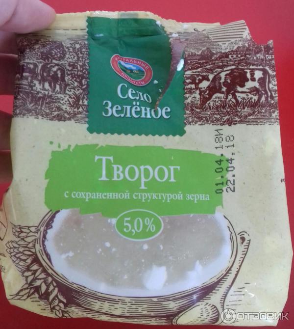 Творог Село Зеленое 5% 200г - купить с доставкой в Vprok.ru Перекрёсток по цене