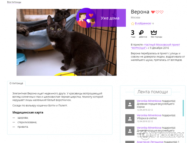 Приют для кошек москва