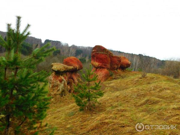 Красные каменные грибы-гиганты (Россия, Кисловодск) фото