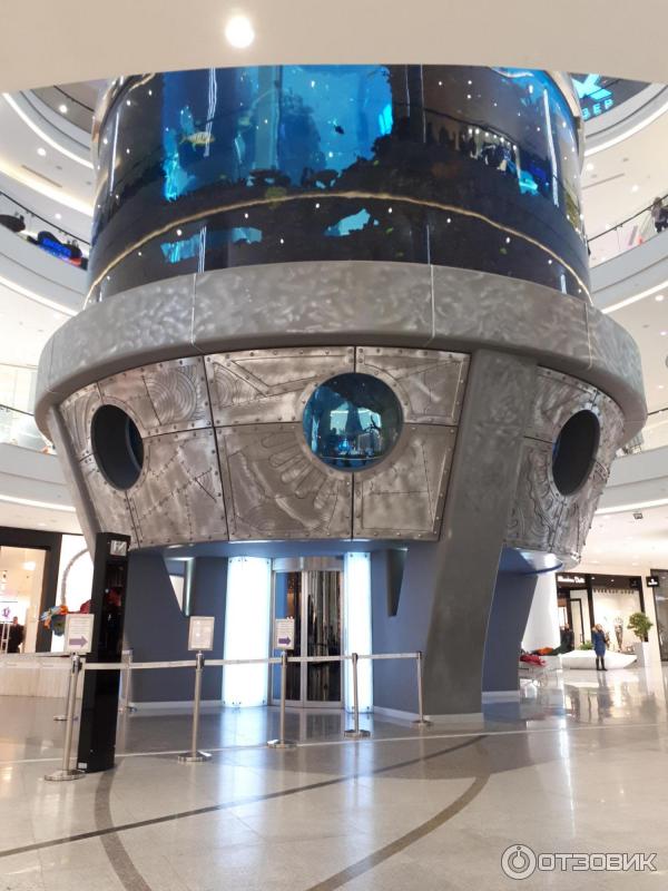 Океанариум славянский бульвар. Океания тц славянский бульвар. Торговый центр океанариум славянский бульвар. Трц океания лифт. Трц океания лифт.