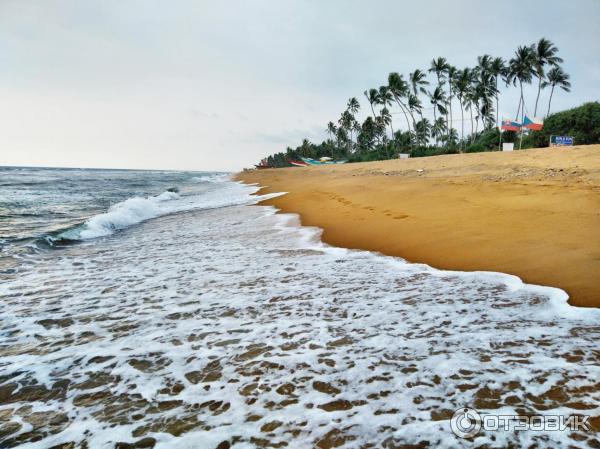 Отель Hibiscus Beach 3 Шри-Ланка Калутара