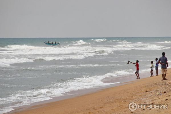 Отель Hibiscus Beach 3 Шри-Ланка, Калутара