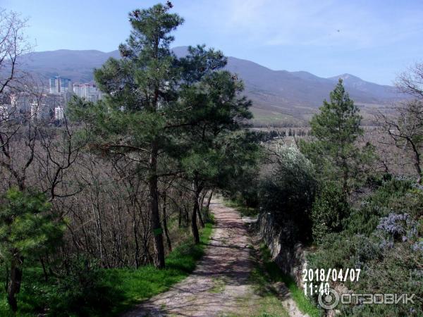 Алуштинский музей природы и дендрозоопарк (Крым, Алушта) фото