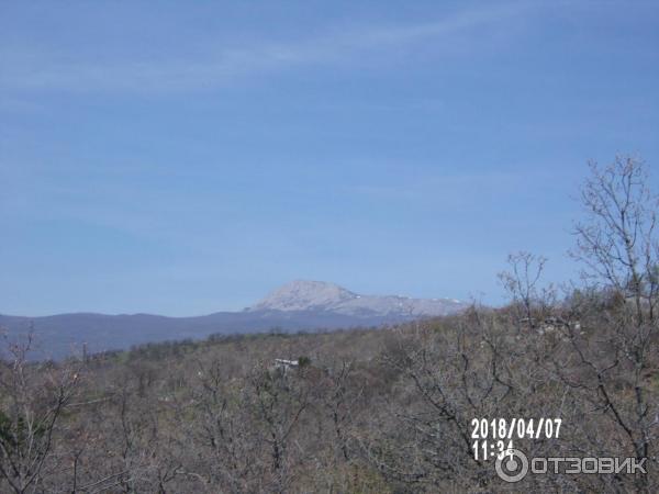 Алуштинский музей природы и дендрозоопарк (Крым, Алушта) фото