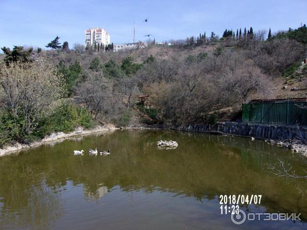 Алуштинский музей природы и дендрозоопарк (Крым, Алушта) фото