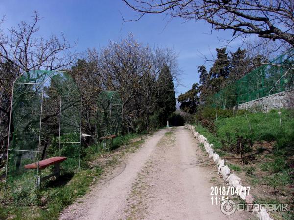 Алуштинский музей природы и дендрозоопарк (Крым, Алушта) фото