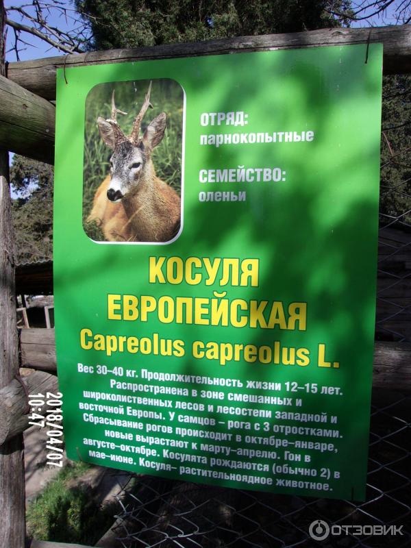 Алуштинский музей природы и дендрозоопарк (Крым, Алушта) фото