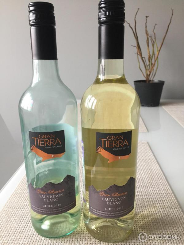 Вино сухое белое Gran Tierra Sauvignon Blanc фото