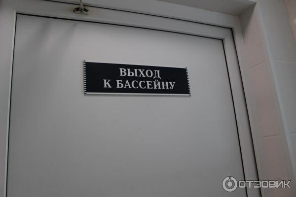 Термальный источник Волна