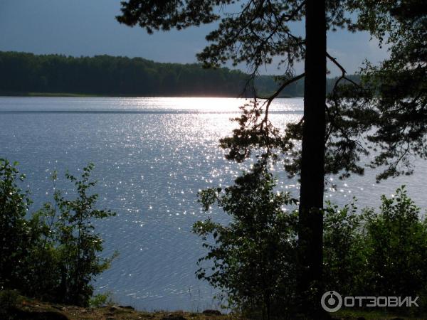 Озеро видное приозерский район фото Отзыв о Озеро Вуокса (Россия, Приозерск) Интересные местечки для безлошадных ром