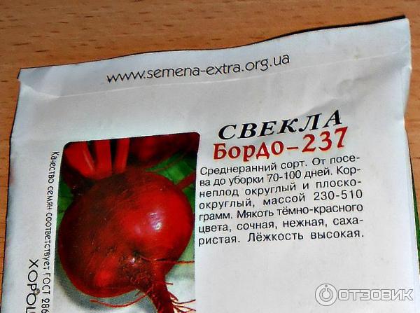 Свекла бордо 237 описание сорта. Свекла бордо 237. Свекла бордо 237 описание сорта фото отзывы.