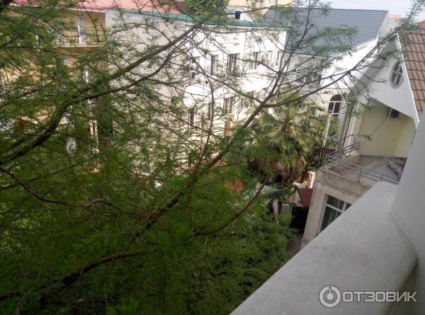 Гостиница Black Sea (Россия, Сочи) фото