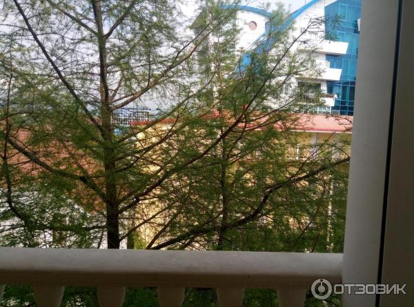 Гостиница Black Sea (Россия, Сочи) фото