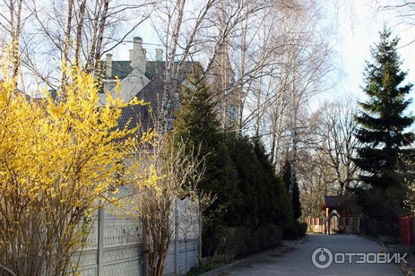 ул. Архитектора Попова в Светлогорске