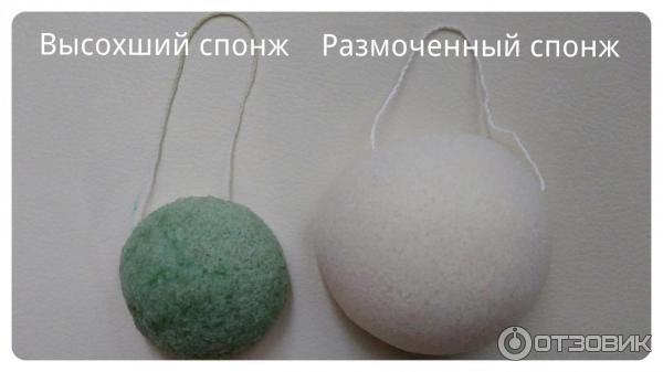 Конжаковый спонж для умывания Hubei Yizhi Konjac Biotechnology Konjac Sponge фото